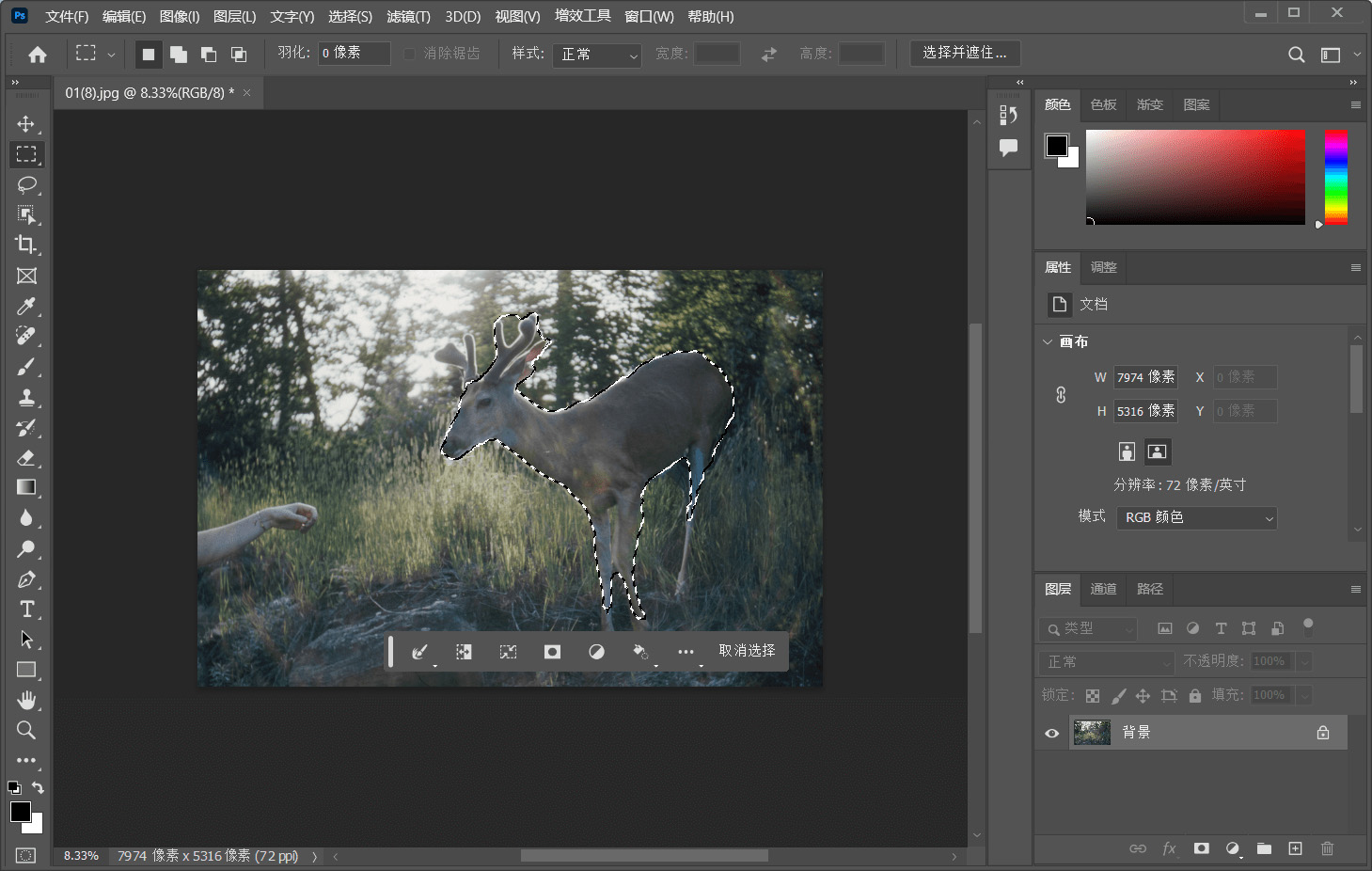 Adobe Photoshop 2024 25.7.0.504 免费版