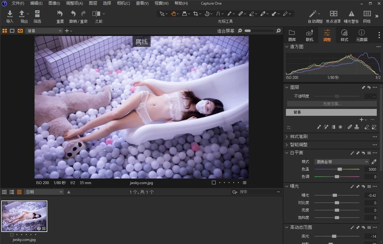 Capture One 23 RAW图像处理软件 v16.8.0.3565 中文破解版 第1张 Capture One 23 RAW图像处理软件 v16.8.0.3565 中文破解版 第1张